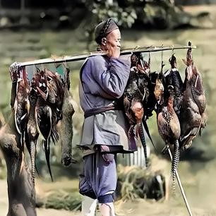 老廊坊老照片大全,河北廊坊南营老照片