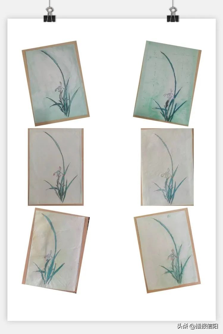 飞扬堇色年华，共筑美好青春息县第十一小学南校区社团活动