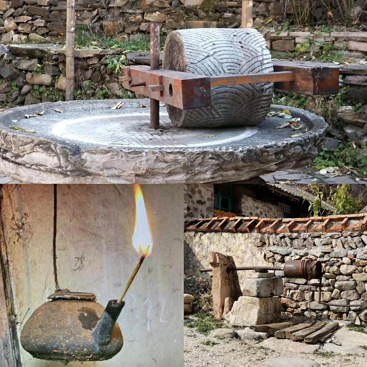 我亲身经历的社会事件作文,社会经历和感悟