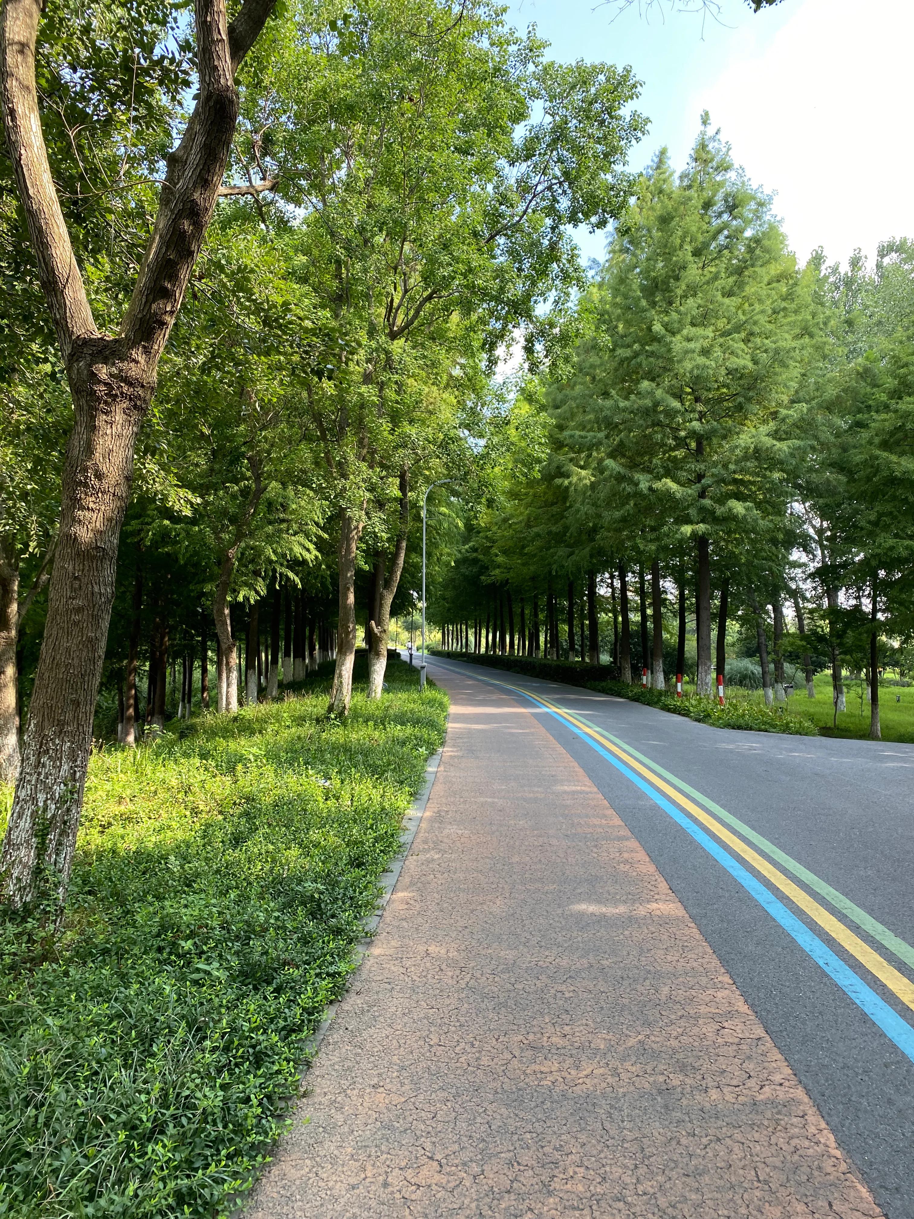 钃濆ぉ鐧戒簯鏌虫爲妗冭姳灏忔ˉ娴佹按,钃濆ぉ鐧戒簯缁挎爲寰闃冲厜鏄庡獨