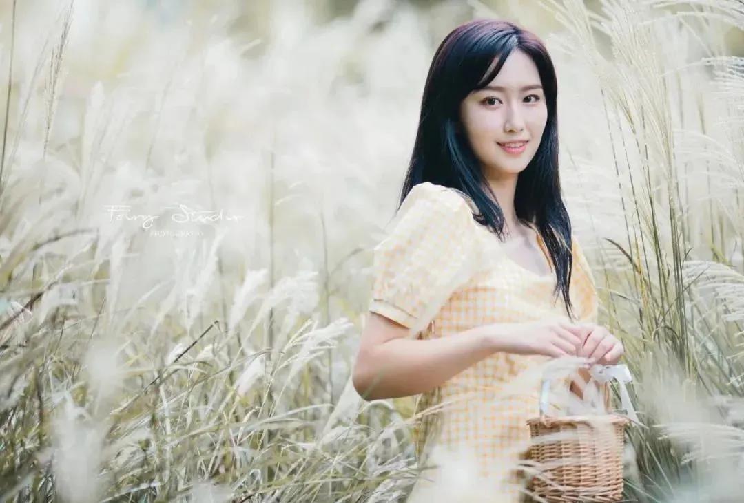 钂硅懎鑻嶈媿鐧介浘鑼尗姝岃瘝,钂硅懎鑻嶈媿澶╂动鑼尗