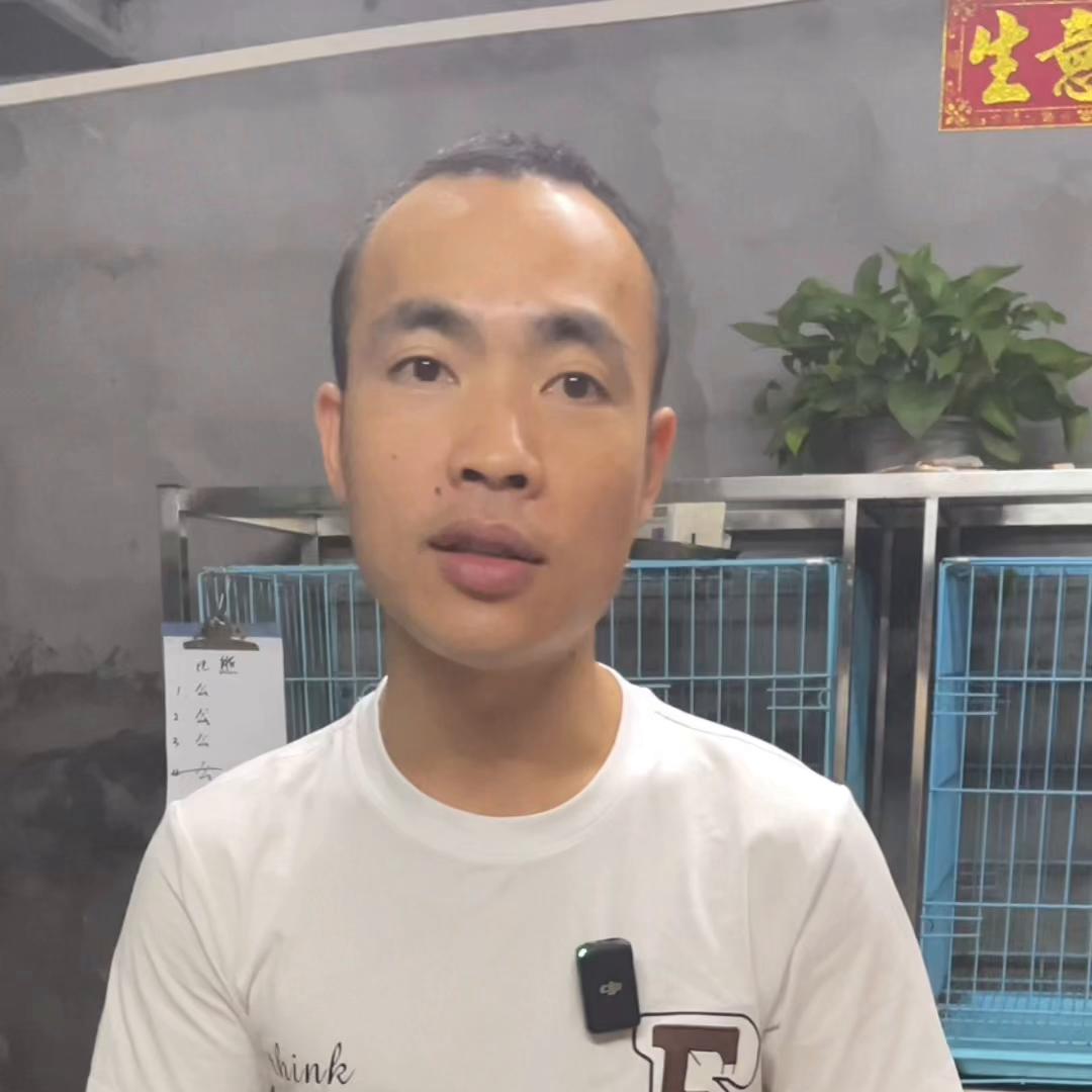 网上买狗被骗就没办法了吗,在网上买狗怎样才不会被骗