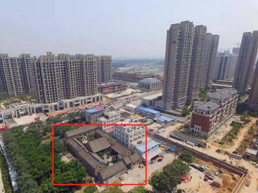 钉子户任金岭,河南钉子户任金岭