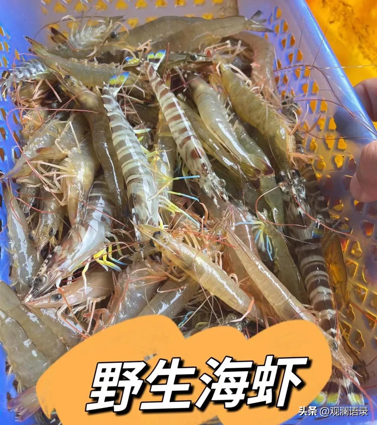 10道经典外卖菜,外卖十道必备菜