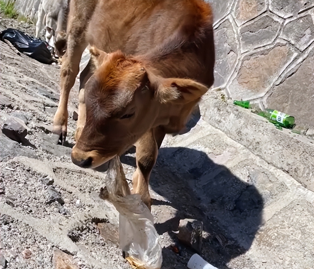 独库公路成垃圾公路,独库公路路边垃圾