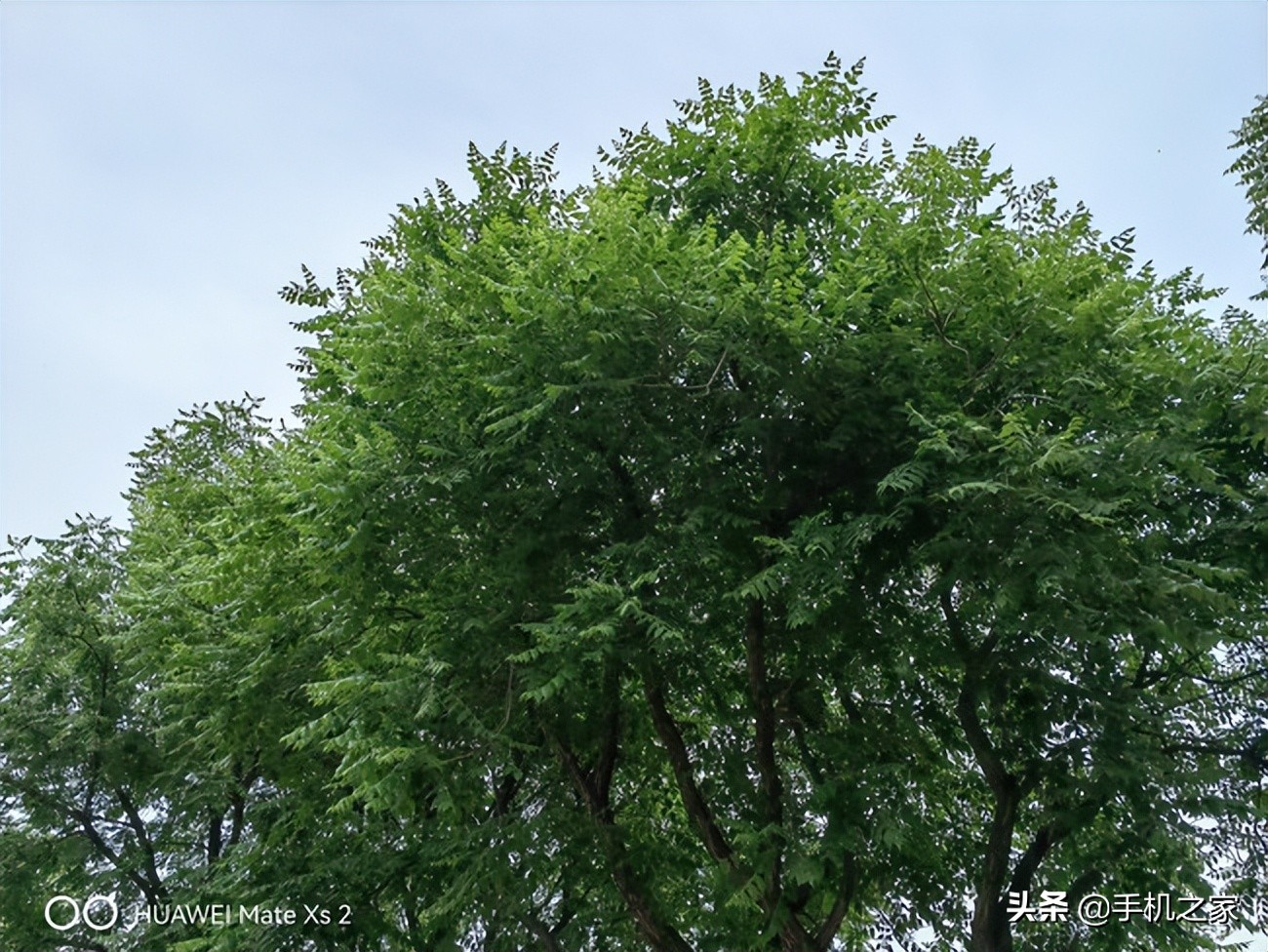 华为matexs2使用一年感受,华为matexs2使用真实体验