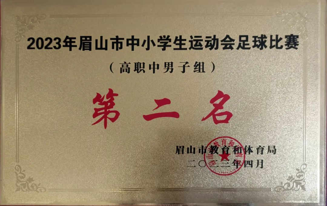 眉山中学足球联赛,洪雅学校足球联赛