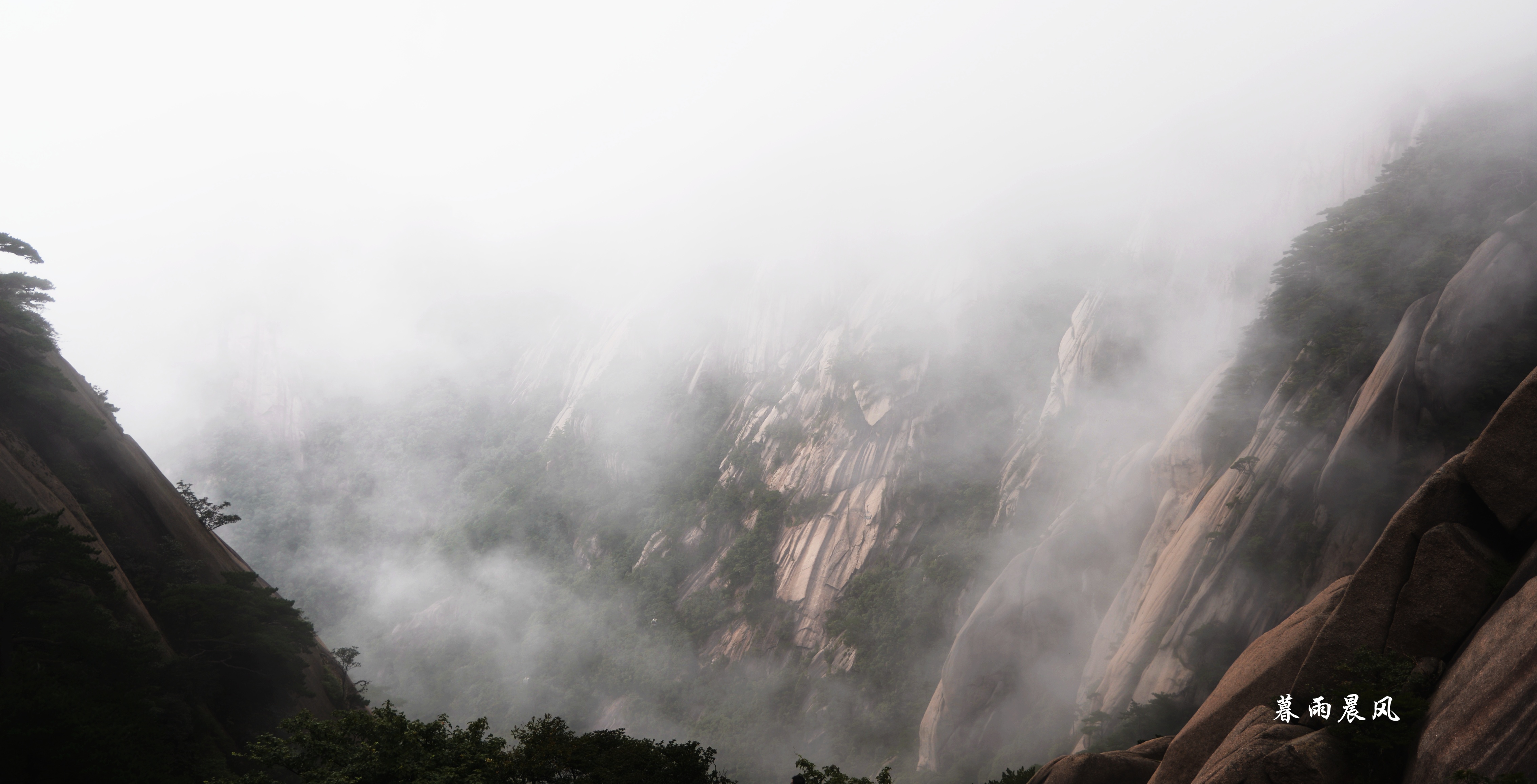 2014年黄山游,2014黄山银毫