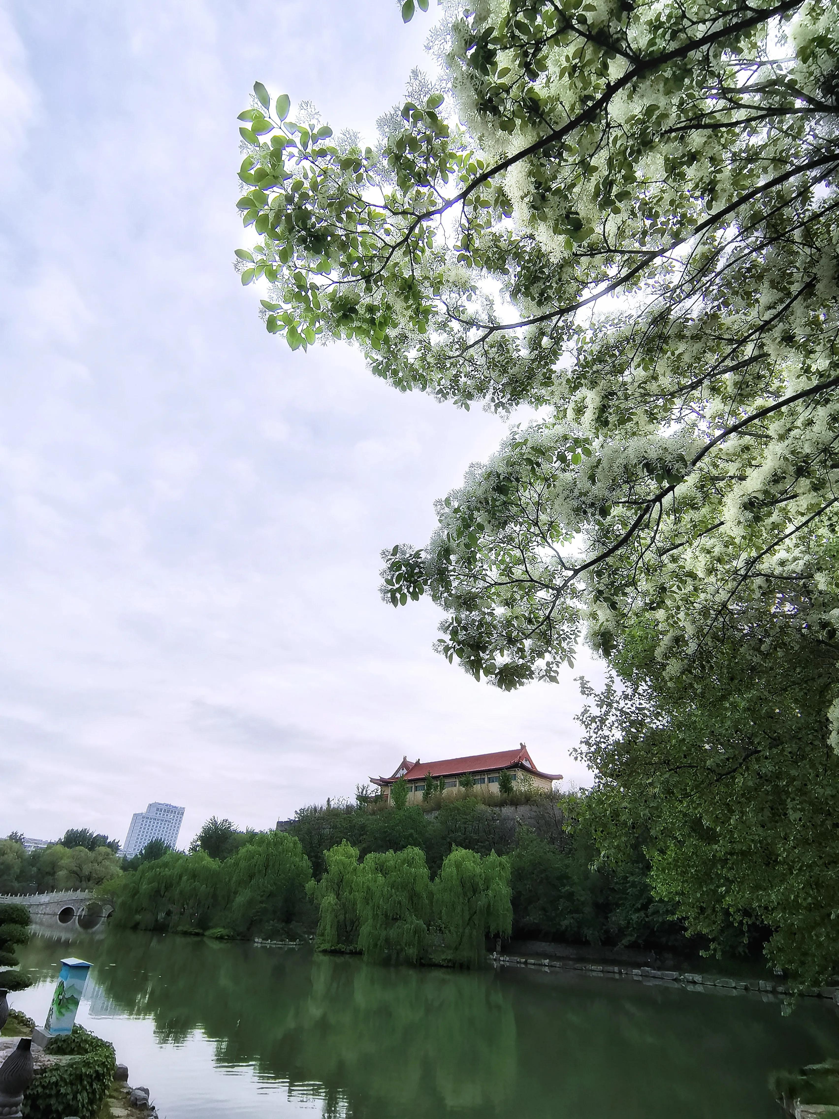 百花酿诗韵芬芳留人间（一）