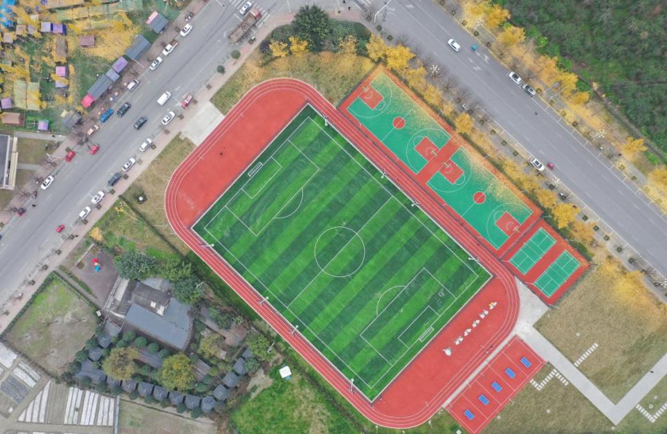 大运会火炬的传递城市,大运会田径比赛家门口