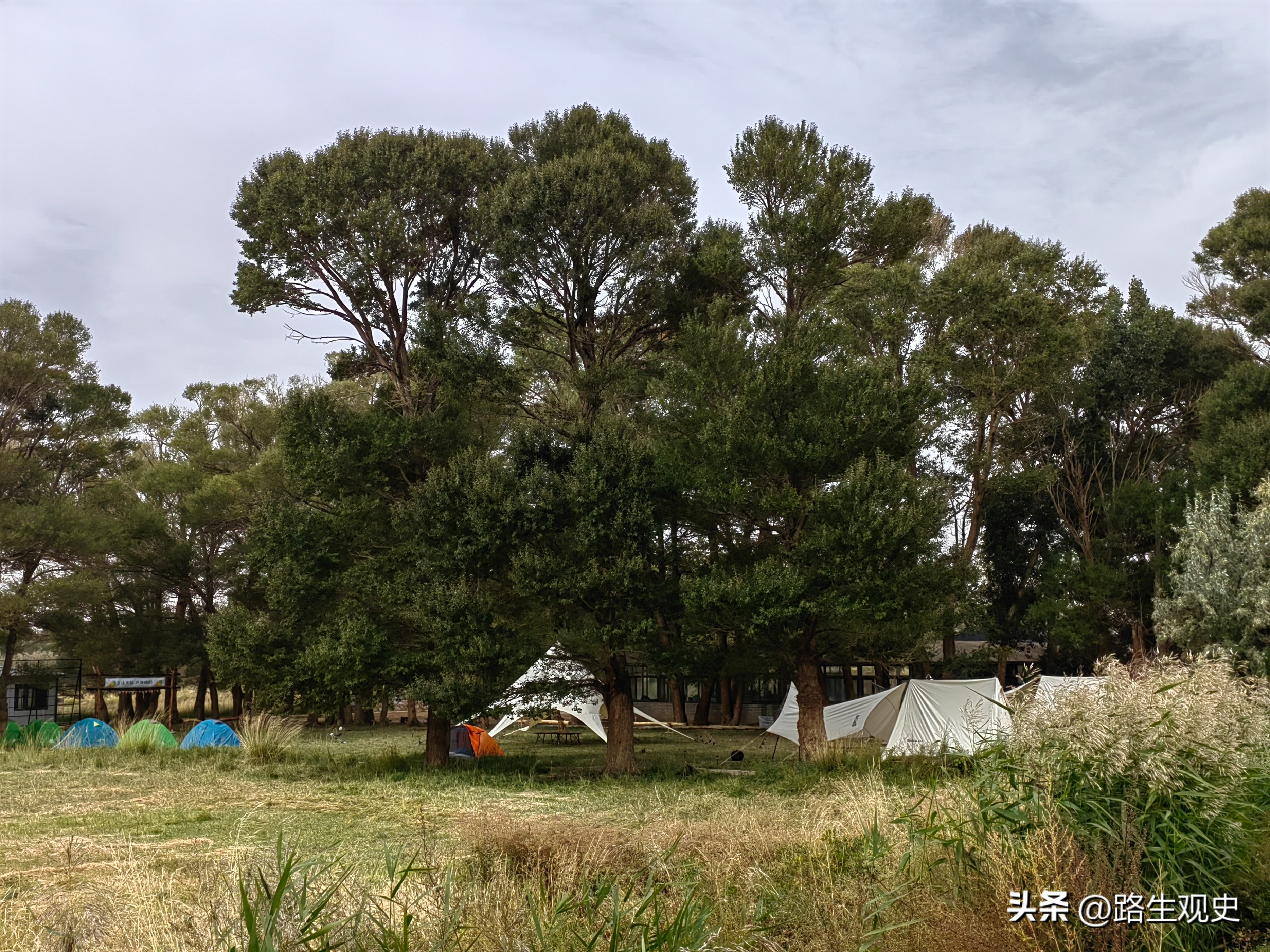 内蒙古一个美丽而又神秘的地方,内蒙古有什么秘境