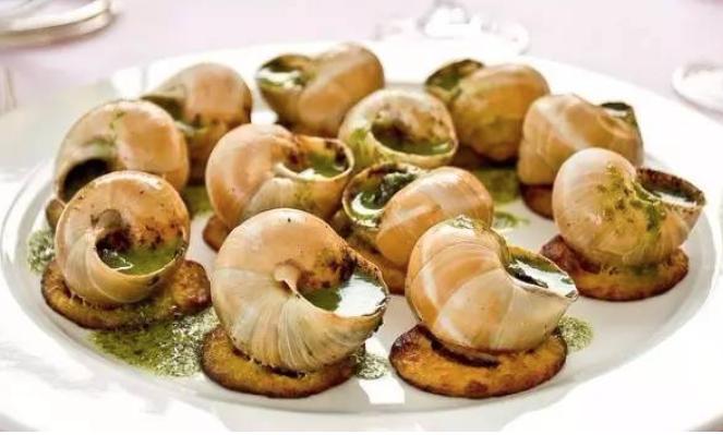 广西多地出现非洲大蜗牛，印度把它当美味，可能引发脑膜炎风险