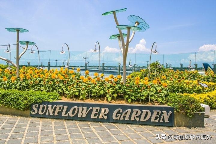 新加坡樟宜国际机场价值意义,新加坡樟宜国际机场世界排名