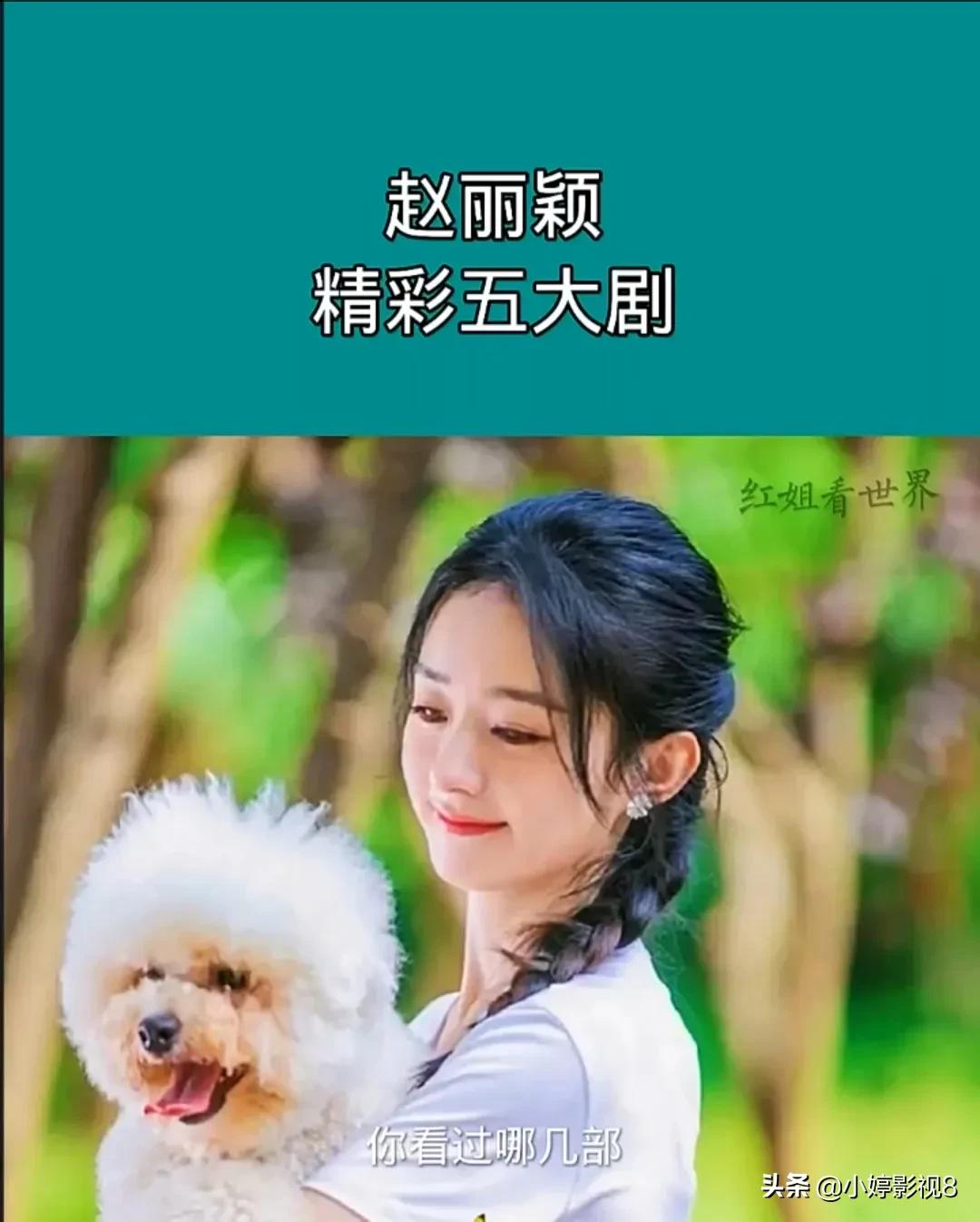 赵丽颖的五个电视剧,赵丽颖爆款剧