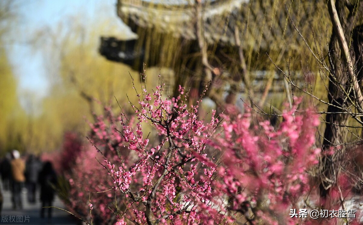 描写早春的古诗绝句,关于早春的古诗五言绝句