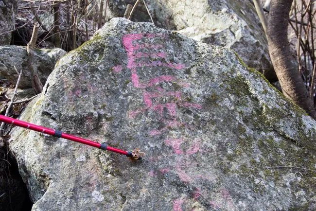 冬天寻访秦岭大峪，不但还有古道遗迹可循，还能见到这条野生广告