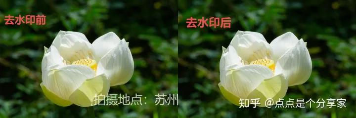 盘点五款好用方便的视频去水印软件，做剪辑的不要错过啦