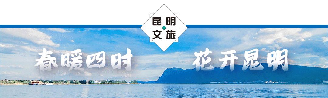 文旅云南最受欢迎目的地,昆明文化旅游推介所有哪些