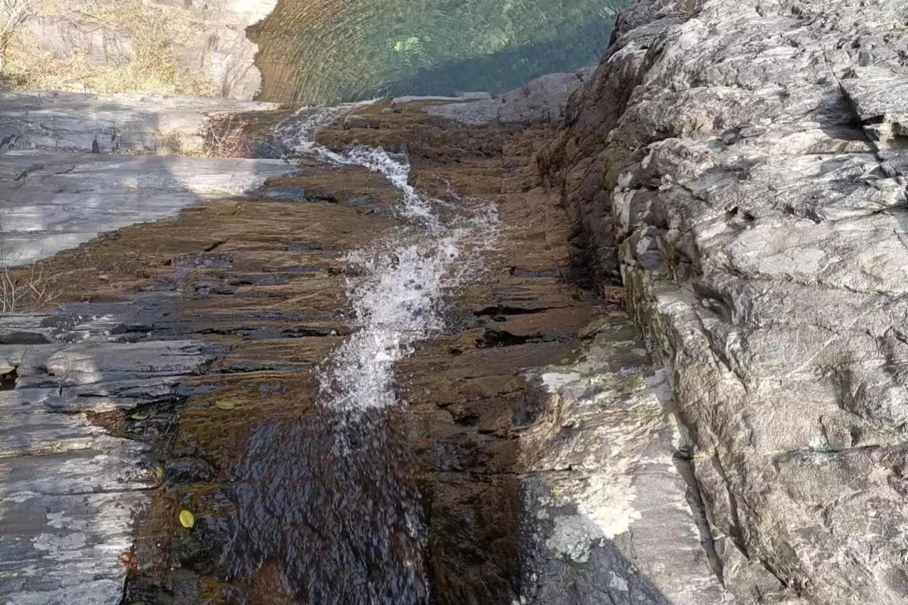 他不仅仅是古琴大师,他还是画家、篆刻家、书法家,二