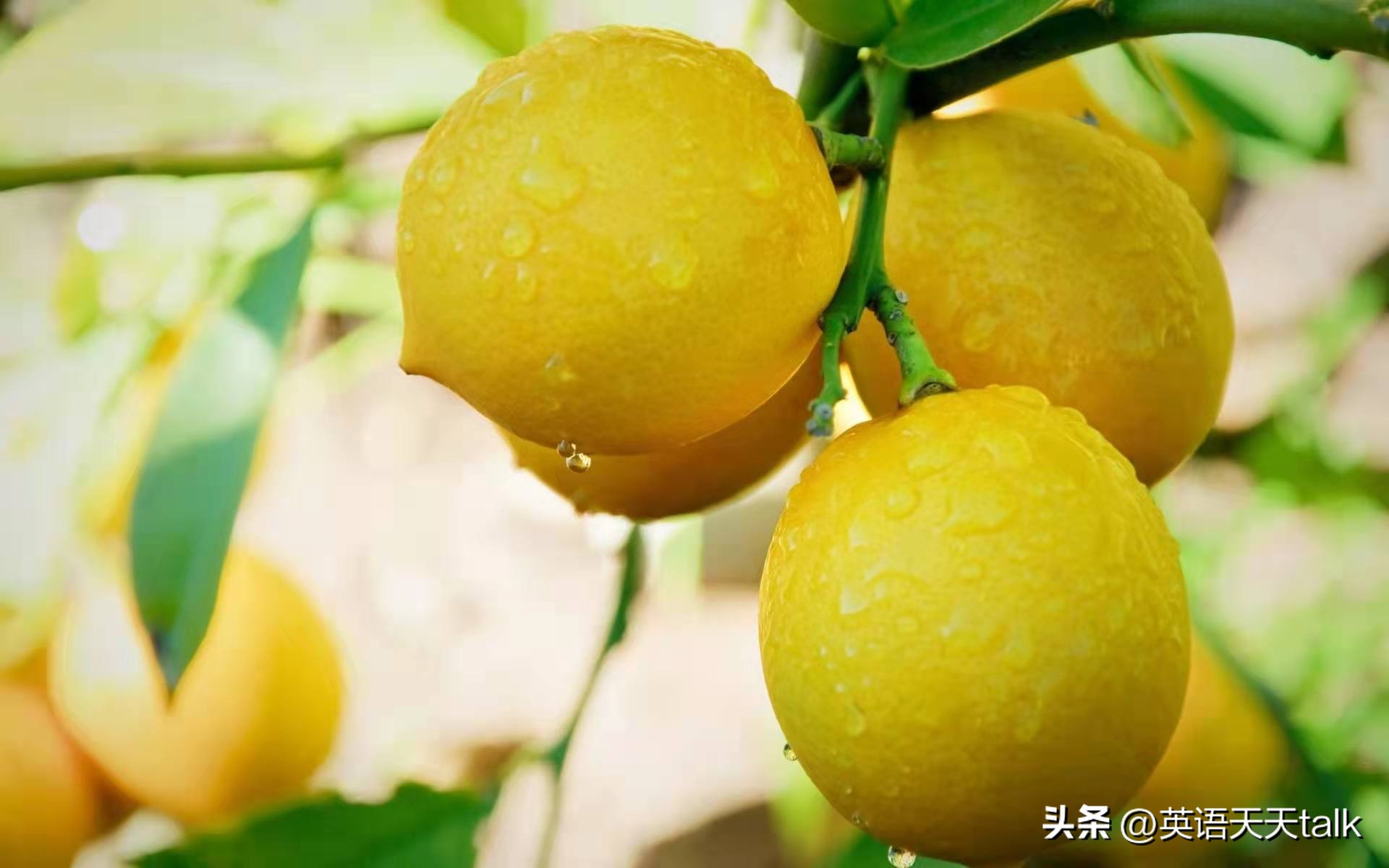 老外说you是什么意思,外国人跟你说youaresweet