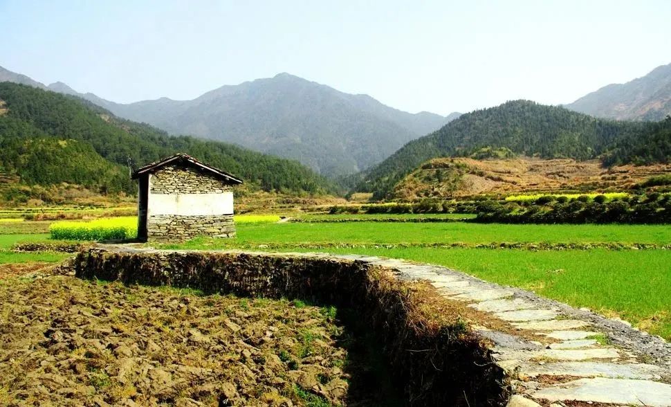 宅基地的房子倒塌后可以重建吗,宅基地部分倒塌后还归自己吗