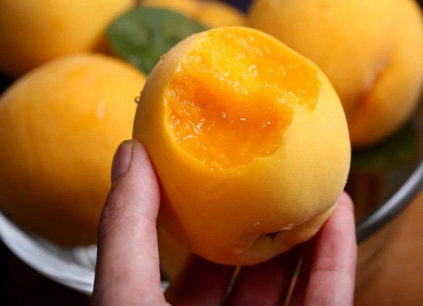 全国桃子哪家最好,什么地方出产的桃子最好吃