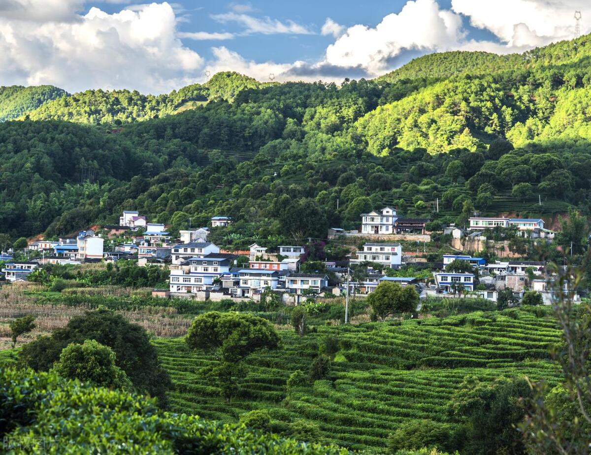 云南普洱旅游推荐,云南普洱好玩的景点都有哪些