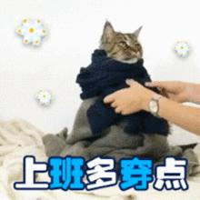 天气预报台风登陆广西,广西气象发布大风黄色预警