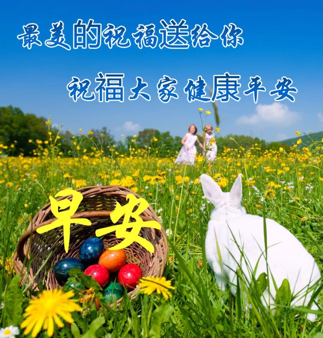 最漂亮的早安祝福图片和问候语 (2023年6月18日早上好祝福图片)