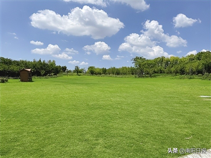 生态优先蓝绿共建增福祉绿色发展提质增效添活力——南阳市生态环境保护工作综述