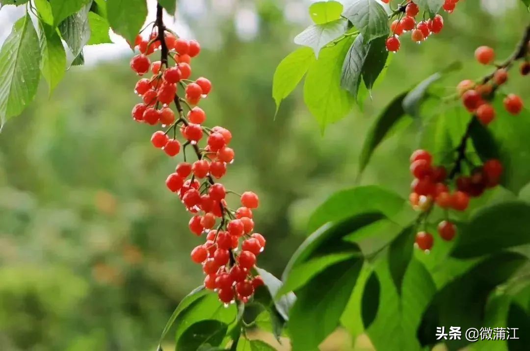 爱摄影的你,爱拍照的你记录生活每一天