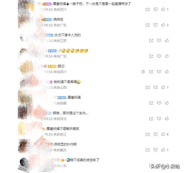 洪欣当年在娱乐圈有多红,洪欣为什么没火了