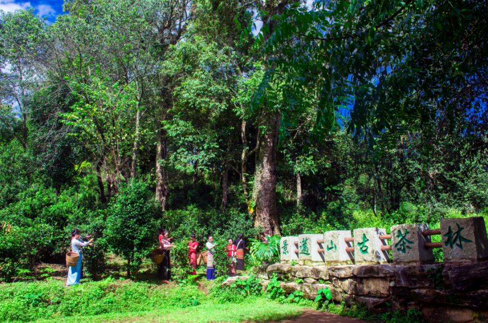 云南澜沧大山深处,云南澜沧边境乡村