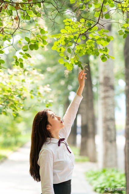 做自媒体真的能赚到钱,做自媒体赚到钱了吗
