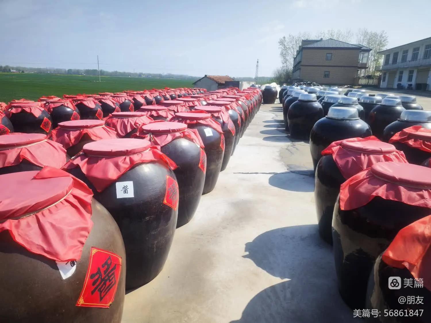 传承技艺的女强人——聂中娥返乡创业美名扬