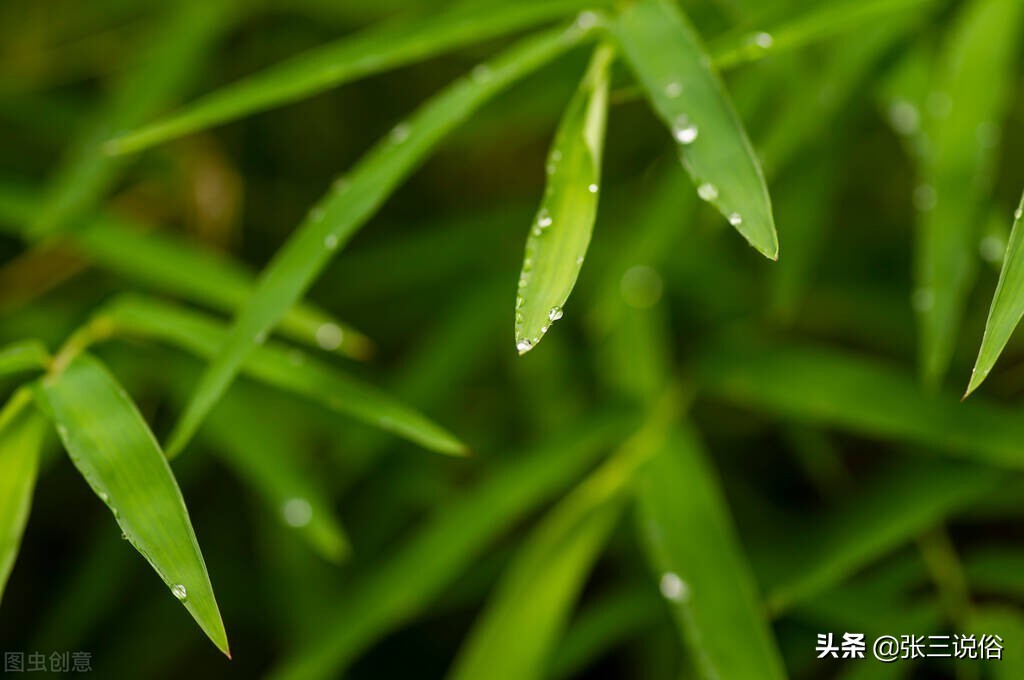 俗语说三更不贪食,俗语三事不做