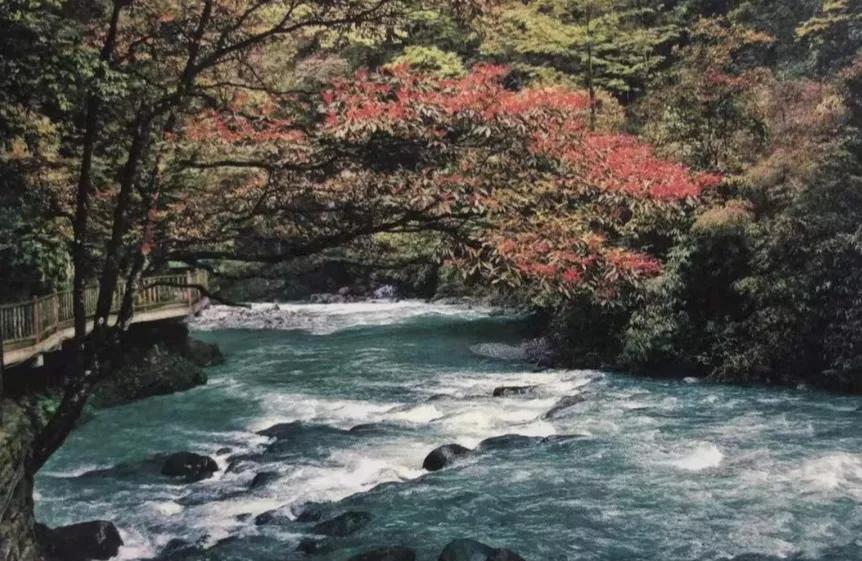 重庆万盛黑山谷景区,重庆万盛黑山谷民宿