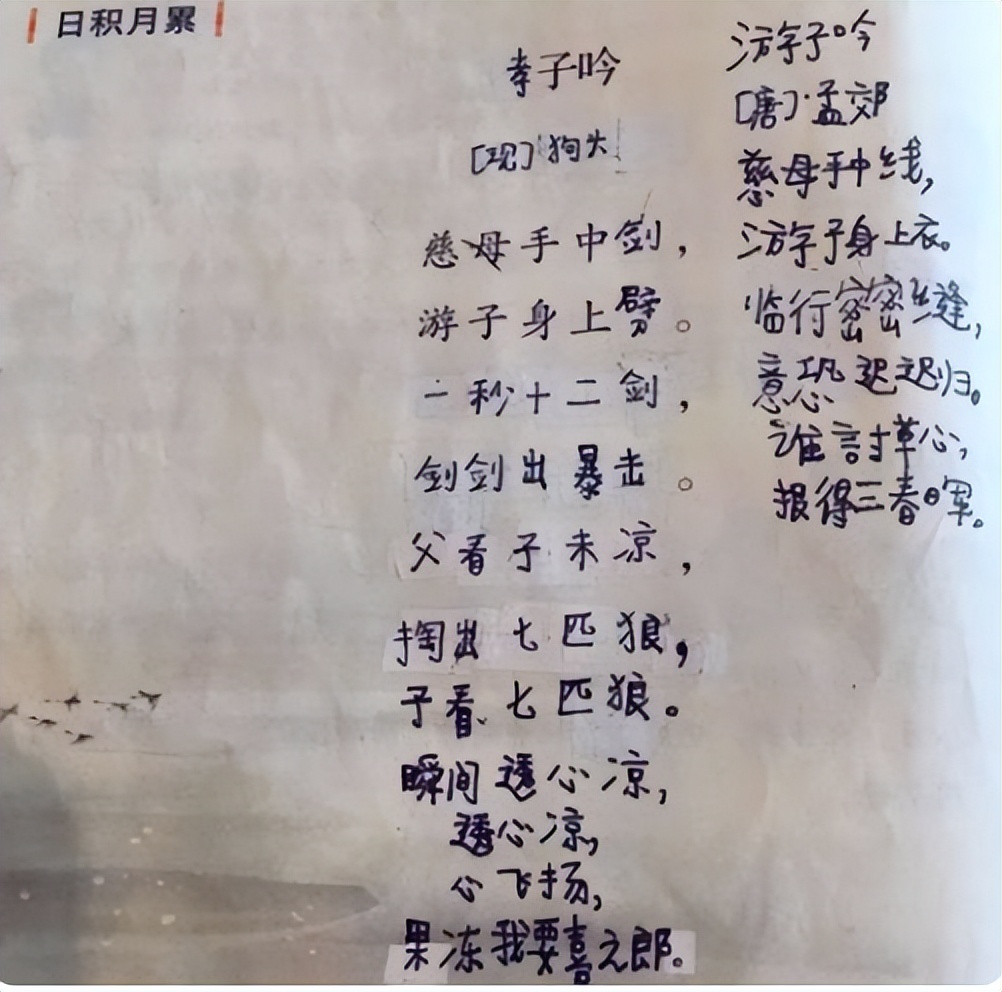 小学生改编孝子吟,小学生改编的孝子吟