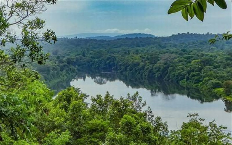 苏里南与荷兰的分手费,苏里南如今状况