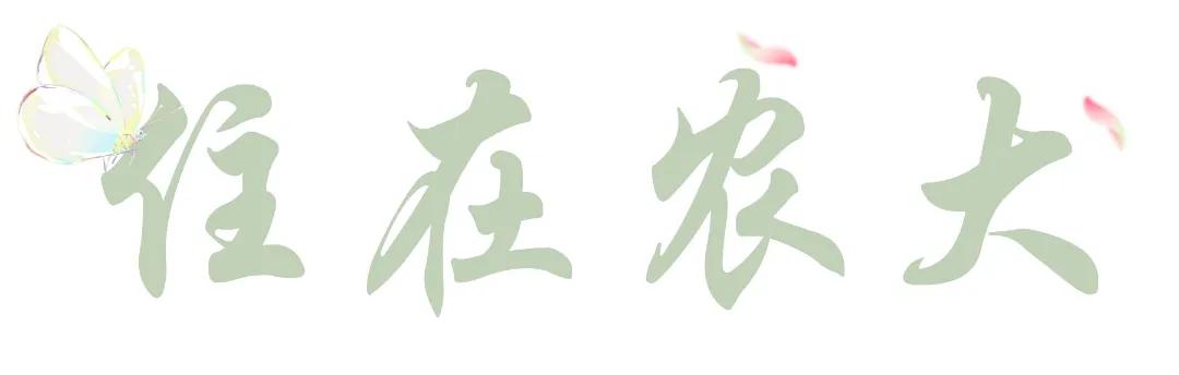 来到农大的心得体会,农大心得