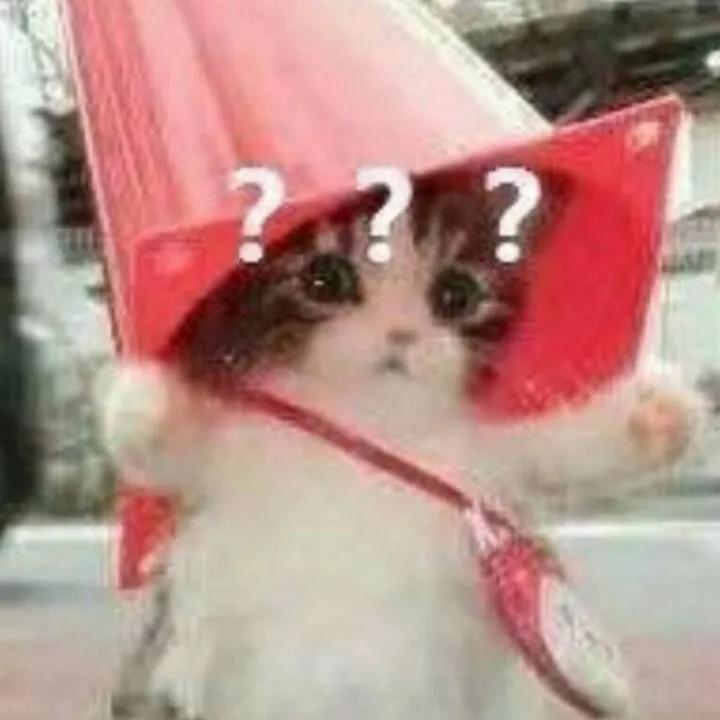 给你花花表情包,给你花花表情包啥意思