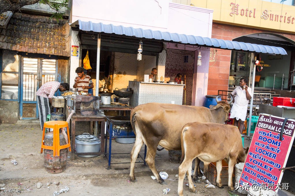 船到印度，船员两天两晚的遭遇让人懊恼，真实经历让人难以想象