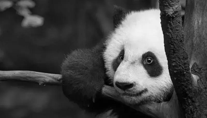 幽默爆笑笑话100个搞笑段子,幽默笑话搞笑段子100篇