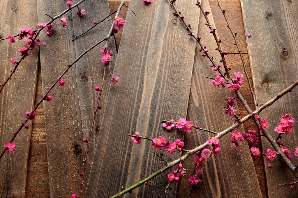 为什么对别人越好别人越不尊重,为什么你对别人好反而不尊重你