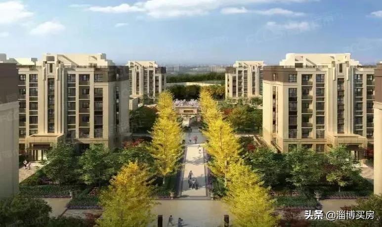 一楼没太阳真的不能买吗,一楼采光好可以买吗