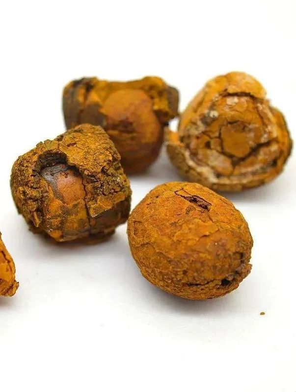 每天学习一味中药阿魏,每天学习一味中药藿香