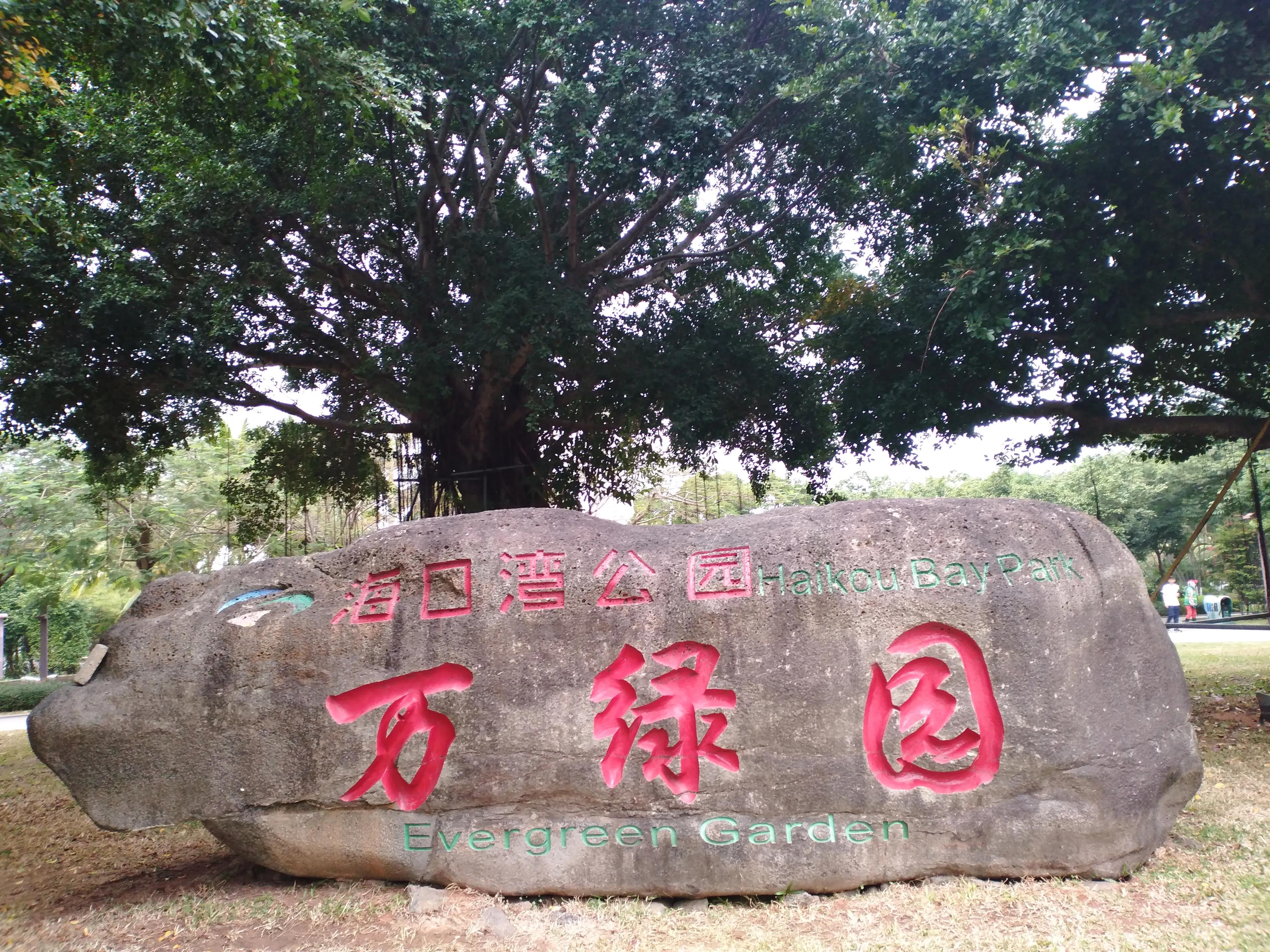 说说花的世界,花花草草大世界的说说