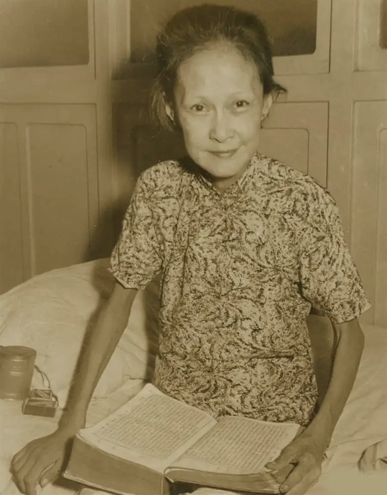 杨耐梅,民国电影明星杨耐梅简介