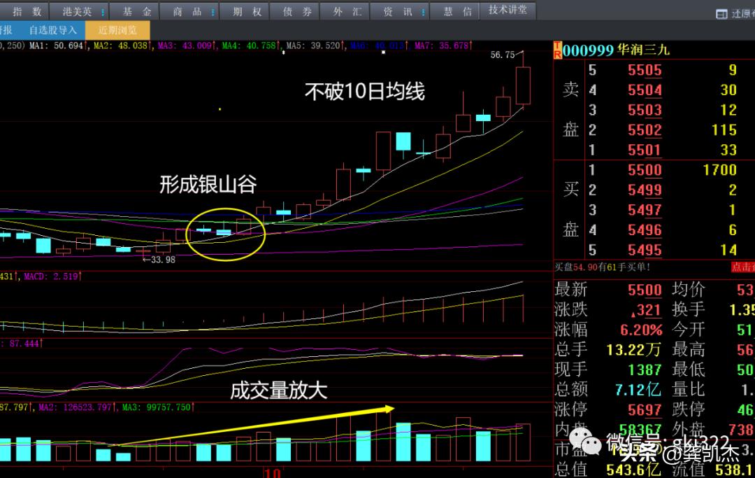 股市大跌贵州茅台涨吗,茅台股市分析近一年走势