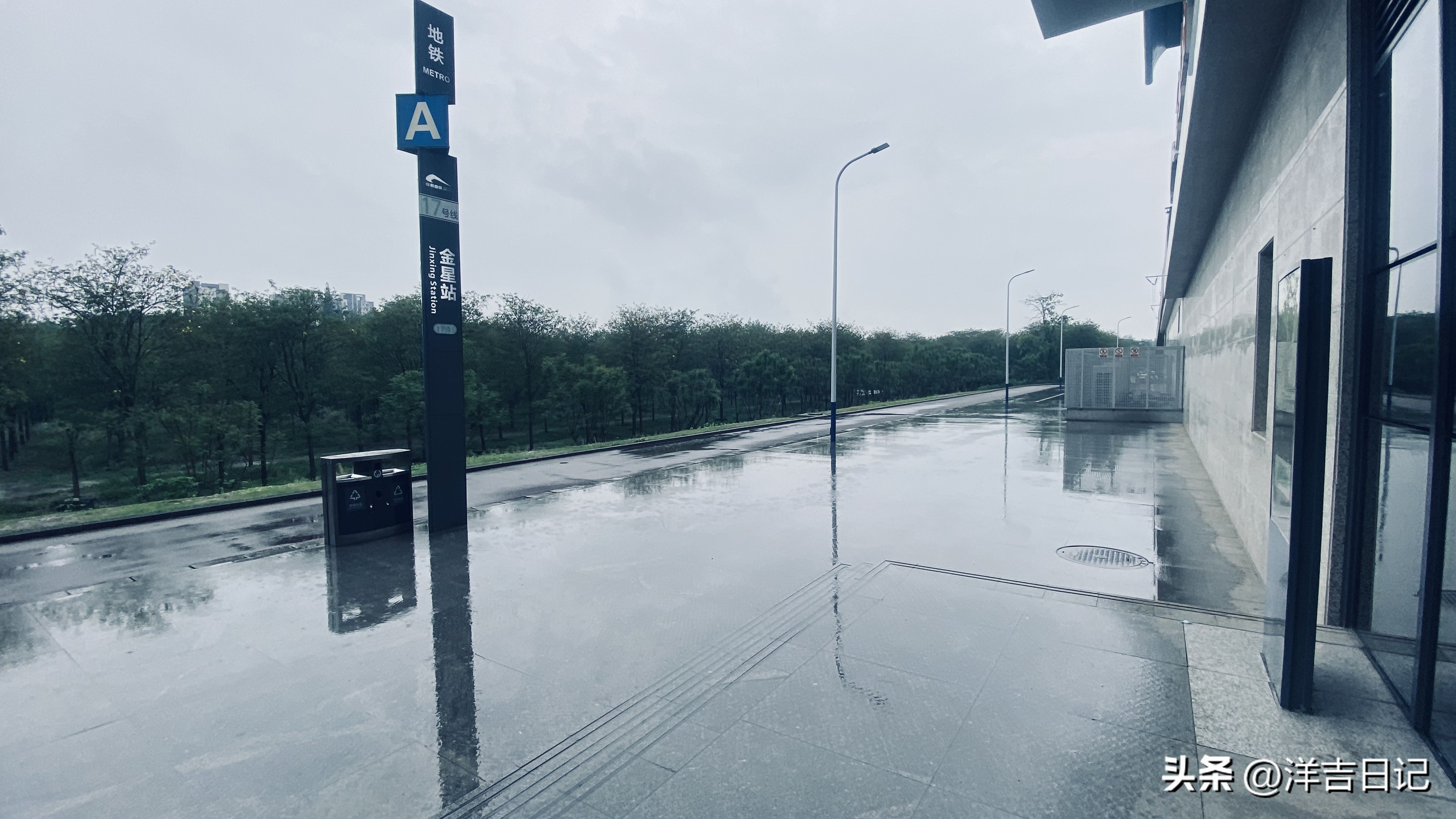 洋吉日记2023.4.28（花的意义？）